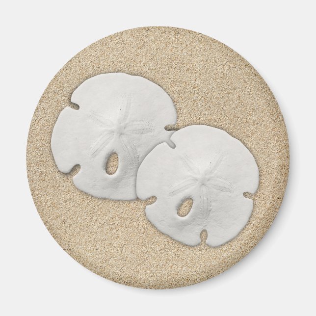 Sand Dollar Magnet (Front)