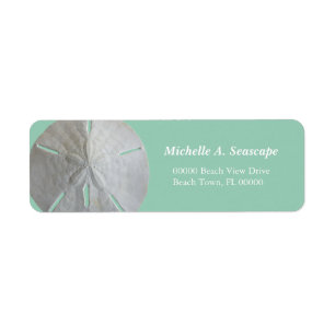 Sand Dollar on Jade