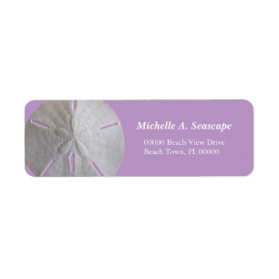 Sand Dollar on Purple
