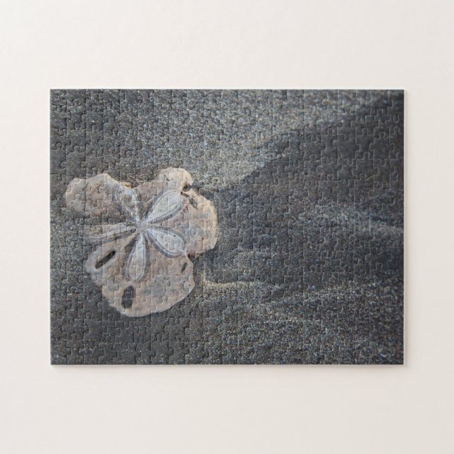 Sand dollar on sand jigsaw puzzle (Horizontal)