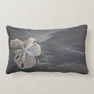 Sand dollar on sand lumbar pillow