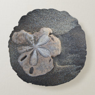 Sand dollar on sand round pillow