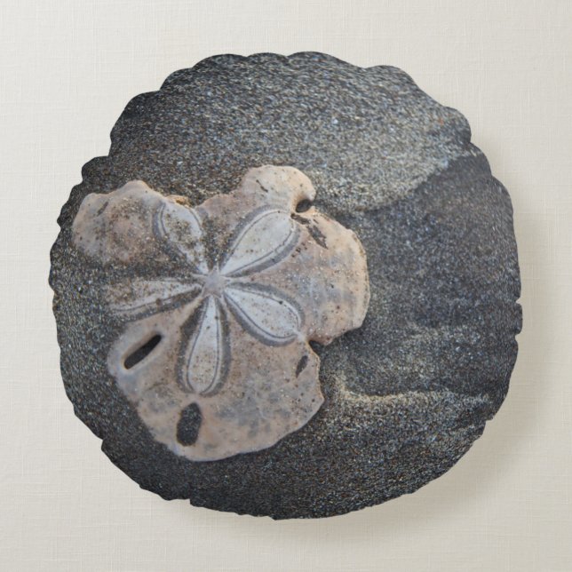 Sand dollar on sand round pillow (Front)