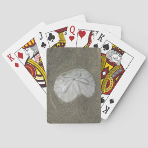 Sand Dollar Photo Wet Sand Beach Nature Coastal Playing Cards