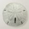 Sand Dollar Pillow