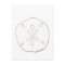 Sand Dollar Postcard