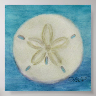 Sand Dollar Print