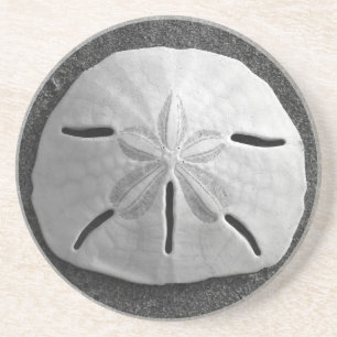 Sand Dollar Sea Shell Beach Drink Coaster