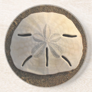 Sand Dollar Seashell Beach Drink Coaster