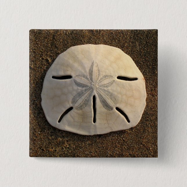 Sand Dollar Seashell Photo Button Custom Pins (Front)