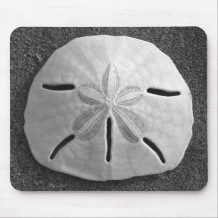 Sand Dollar Seashell Sand Beach Mousepad