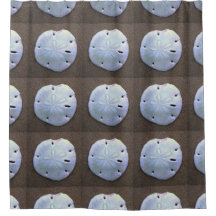 sand dollar shower curtain