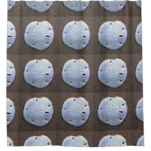 sand dollar shower curtain