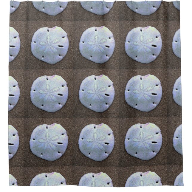 sand dollar shower curtain (Front)