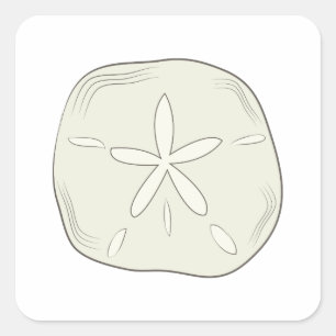 Sand Dollar Square Sticker