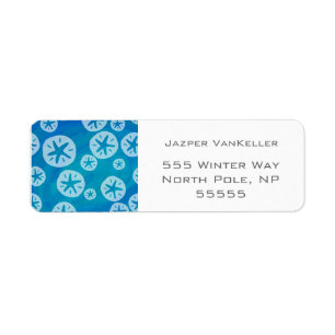 Sand Dollar White and Blue Pattern