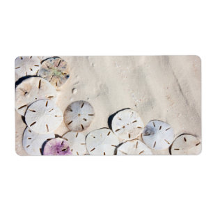 Sand dollars