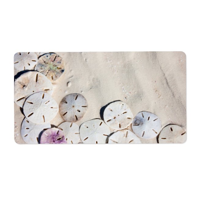 Sand dollars (Front)