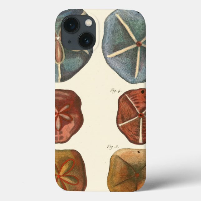 Sand Dollars Gems Case-Mate iPhone Case (Back)