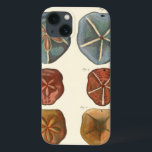 Sand Dollars Gems iPhone 13 Case<br><div class="desc">Sand dollars are a very unique sea gem. This image encompasses very unique and colorful sand dollars. Diderot contrasted these sand dollars with a soft cream colored tone background. Get your sand dollar gems on your zazzle product today.</div>
