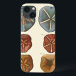 Sand Dollars Gems iPhone 13 Case<br><div class="desc">Sand dollars are a very unique sea gem. This image encompasses very unique and colorful sand dollars. Diderot contrasted these sand dollars with a soft cream colored tone background. Get your sand dollar gems on your zazzle product today.</div>