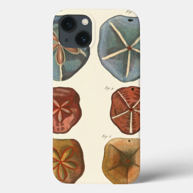 Sand Dollars Gems Case-Mate iPhone Case (Back)