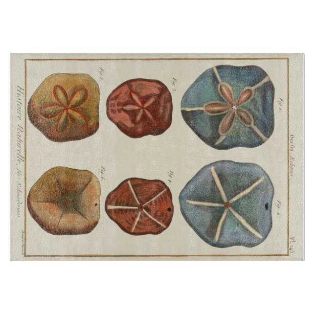 Sand Dollars Gems Cutting Board (Front)