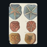 Sand Dollars Gems iPad Mini Cover<br><div class="desc">Sand dollars are a very unique sea gem. This image encompasses very unique and colourful sand dollars. Diderot contrasted these sand dollars with a soft cream coloured tone background. Get your sand dollar gems on your zazzle product today.</div>