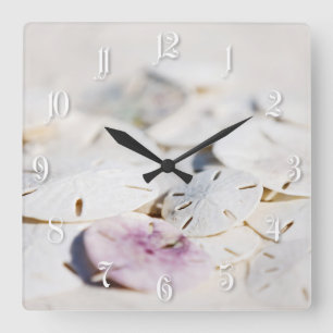 Sand dollars square wall clock