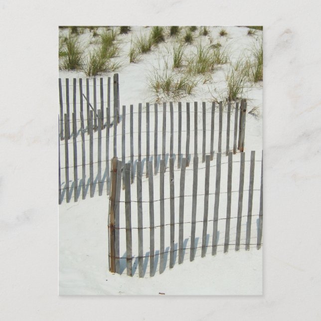 Sand Dune Fence Postcard (Front)
