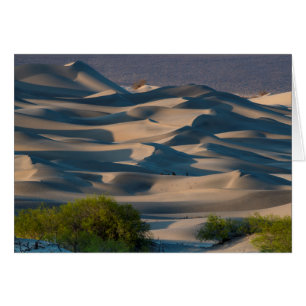 Sand dune landscape, California