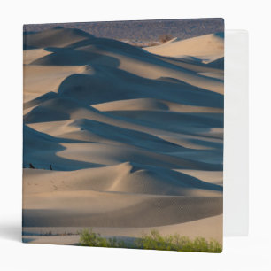 Sand dune landscape, California Binder