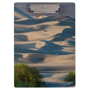 Sand dune landscape, California Clipboard