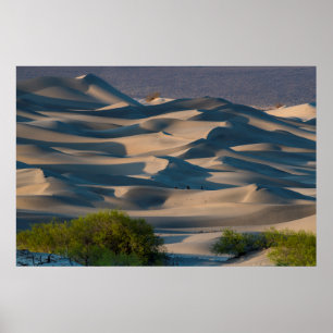 Sand dune landscape, California Poster