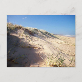Sand dune postcard
