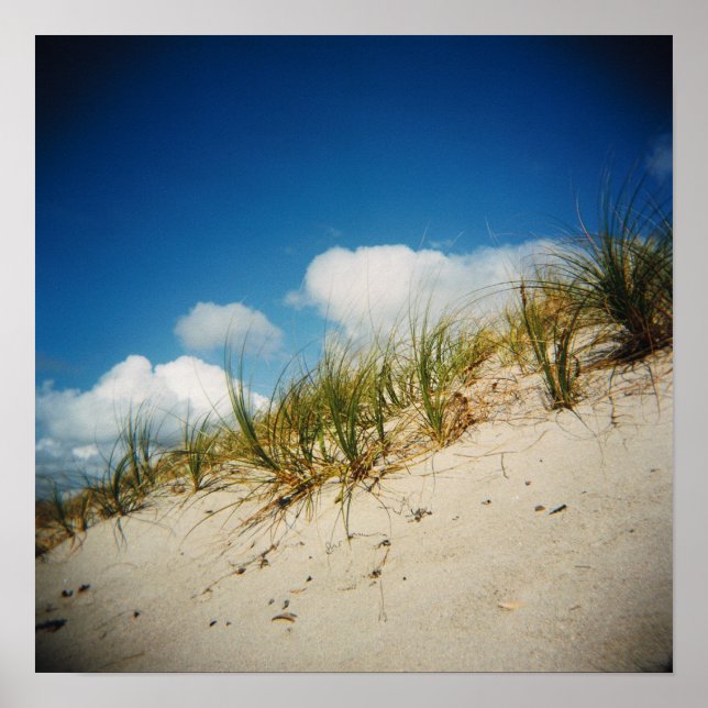 Sand dune print (Front)