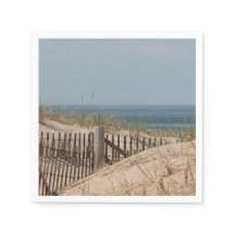 Sand dunes and beach fence