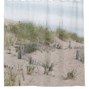 Sand dunes and beach fences