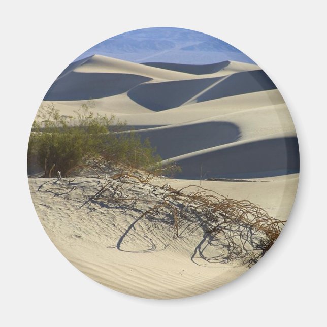 Sand Dunes Desert Magnet (Front)