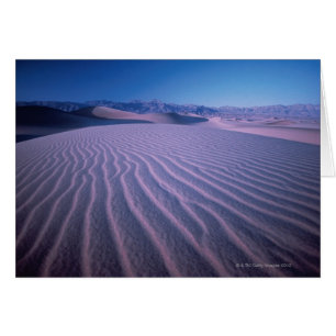 Sand Dunes in Desert
