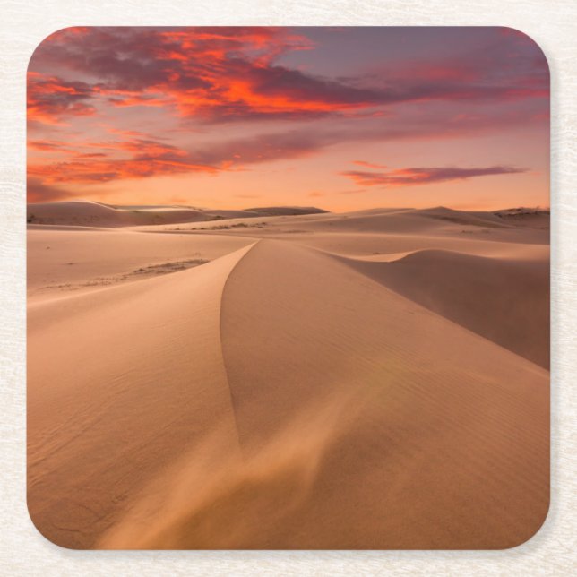 Sand Dunes in the Desert at Sunset Square Paper Coaster (Front)