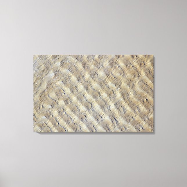 Sand dunes in the Fachi-Bilma erg Canvas Print (Front)