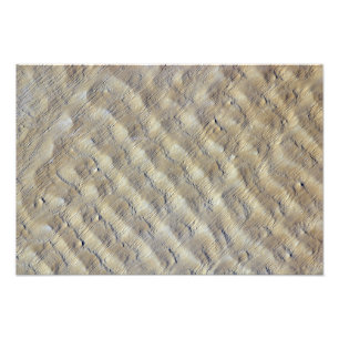 Sand dunes in the Fachi-Bilma erg Photo Print