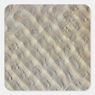 Sand dunes in the Fachi-Bilma erg Square Sticker