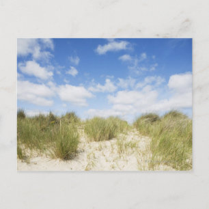 Sand dunes postcard