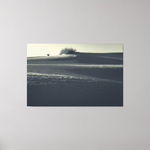 Sand Dunes with Yucca Canvas Print