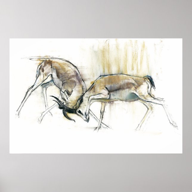 Sand Gazelles 2009 Poster (Front)