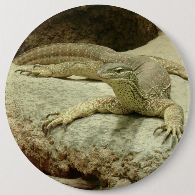 Sand goanna 6 inch round button (Front)