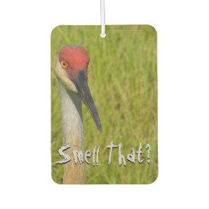 Sand Hill Crane Bird Wildlife Photo Cute Typograpy Air Freshener
