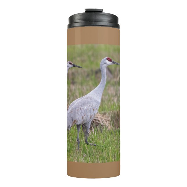 Sand Hill Crane Thermal Tumbler (Front)